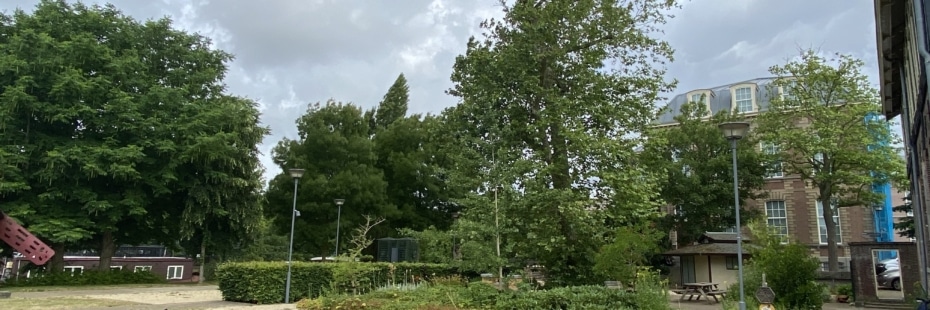 Stadsbomen in een veranderend klimaat tijdens het Groen Ideecafé op maandag 18-09-2023 in Scheltema Leiden